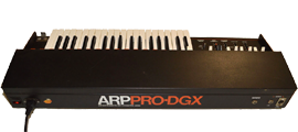 ARP: Pro-DGX: Rückansicht