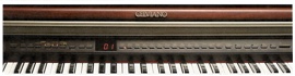 CASIO: AP-500: Beschriftung