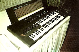 CASIO DM-100