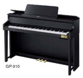 CASIO: GP-310
