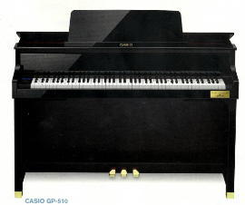 CASIO: GP-510