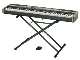 CASIO: PX-310