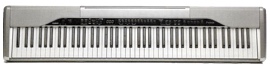 CASIO: PX-310