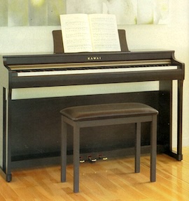 KAWAI: CN-25