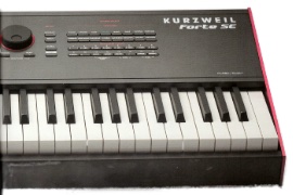 KURZWEIL: Forte SE