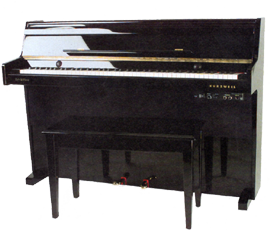 KURZWEIL: KHP-101