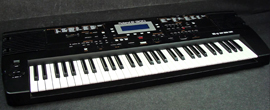 ROLAND: E-300