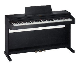 ROLAND: RP-301