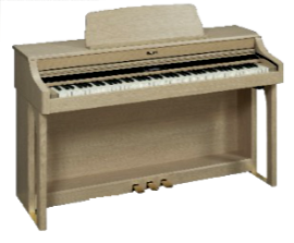 ROLAND: HP-207e: Eiche hell