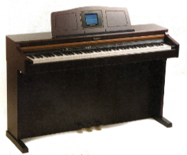 ROLAND: HPi-6: Rosenholz