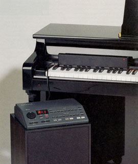 ROLAND: RA-30