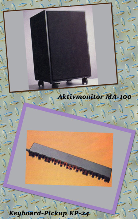 ROLAND: Zubehör: RA-30 ROLAND: Zubehör: RA-30