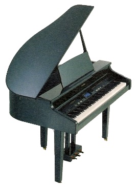 ROLAND KR111