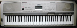 YAMAHA: DGX-300