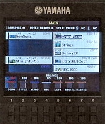 YAMAHA: PSR-S900: Display